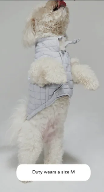 Easy Fit Jacket For Dogs - Light Blue
